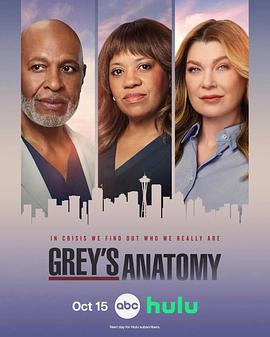 实习医生格蕾 第二十三季[全集][无字片源].Greys.Anatomy.S23.1080p